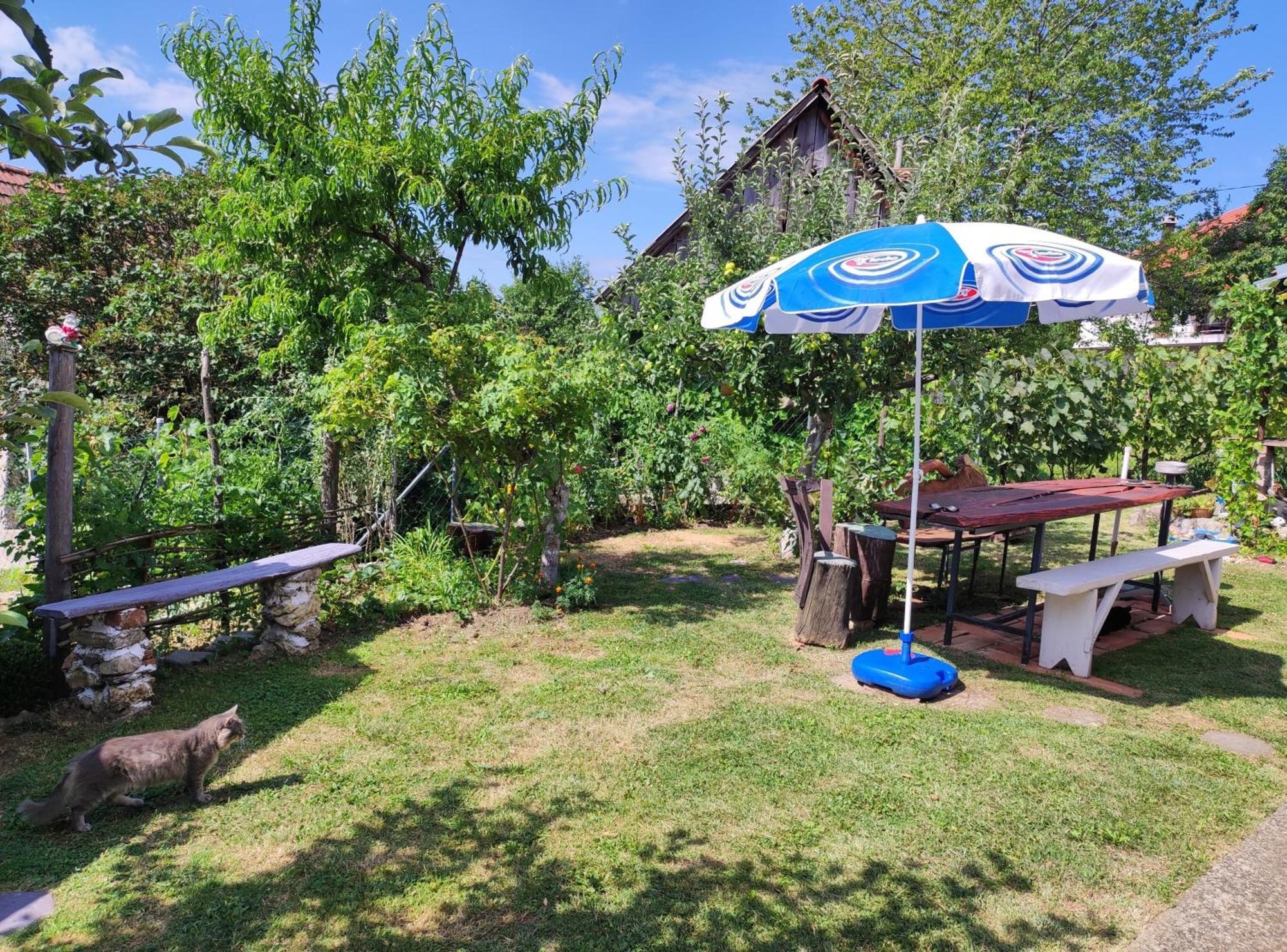 Smjestaj Mala Zidanica Hotel Tomasevci Exterior photo