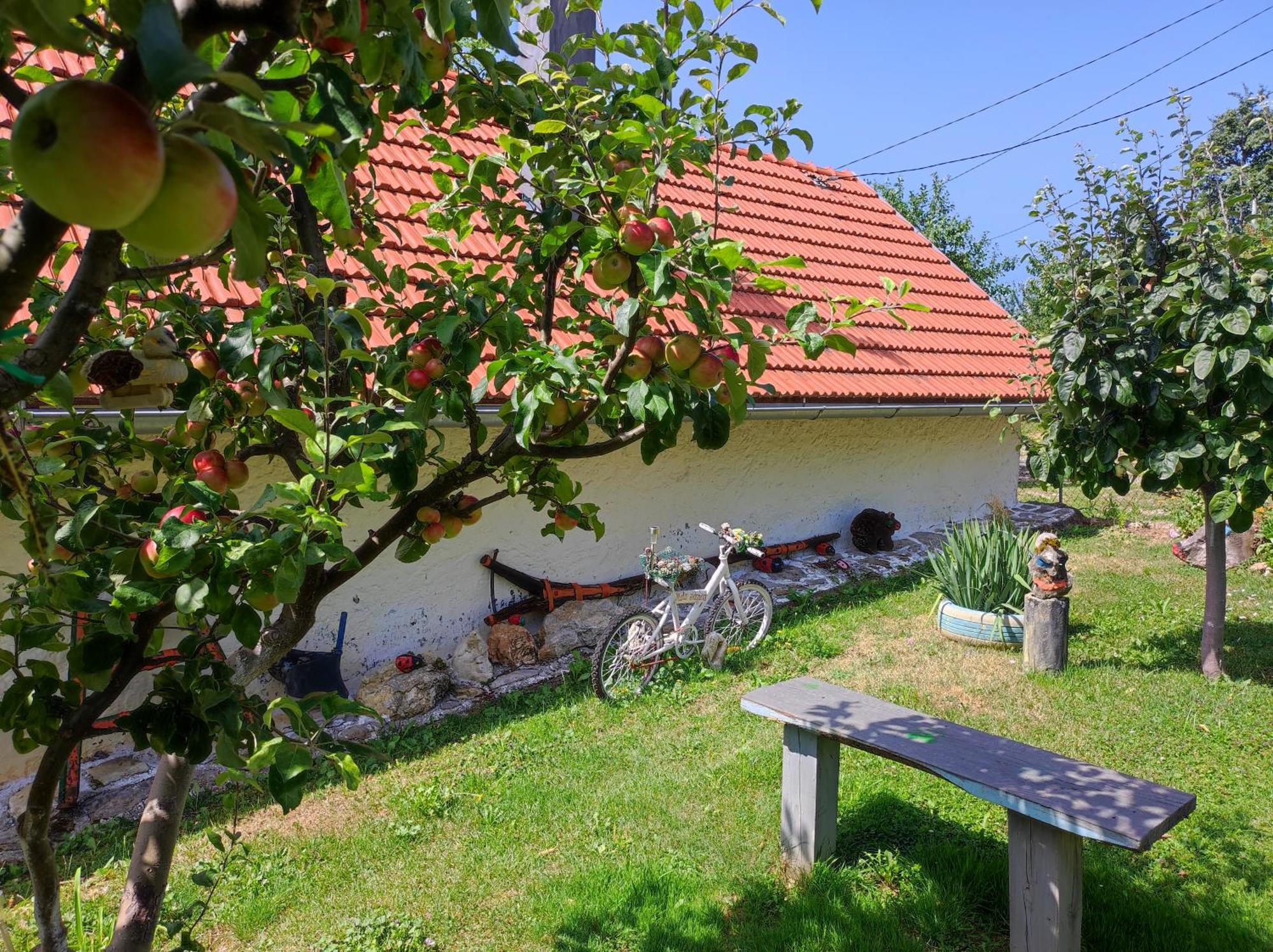 Smjestaj Mala Zidanica Hotel Tomasevci Exterior photo
